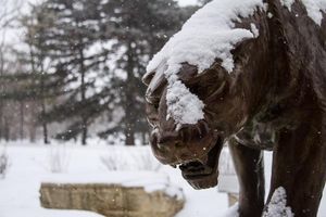 Image post by @iowastatedaily on Instagram