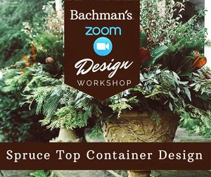 Image post by @shopbachmans on Instagram