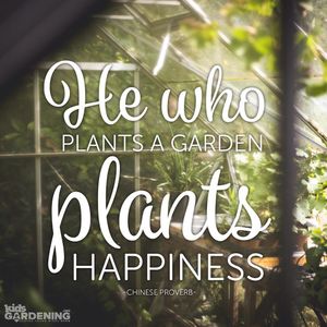Image post by @kidsgardening on Instagram