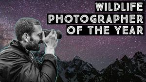 Image post by @thewavemediaco on Instagram