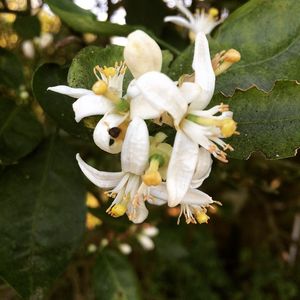Image post by @unclemattsorganic on Instagram