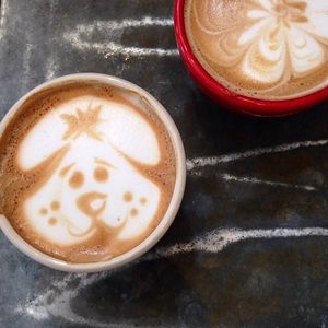 Image post by @lepainquotidienus on Instagram