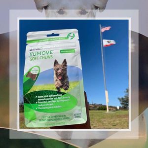 Image post by @yumove_usa on Instagram