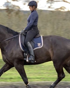 Image post by @performancesaddlefitssthsydney on Instagram