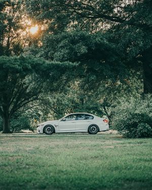 Image post by @mo_steve on Instagram