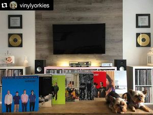 Image post by @umgcatalog on Instagram