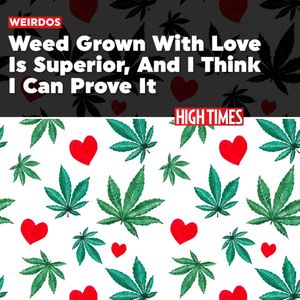 Image post by @hightimesmagazine on Instagram