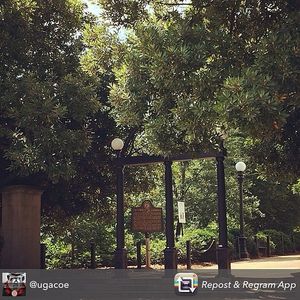 Image post by @universityofga on Instagram