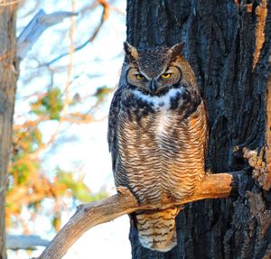 Image post by @nationalparkservice on Instagram