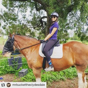 Image post by @performancesaddlefitssthsydney on Instagram