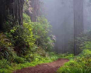 Image post by @nationalparkscollective on Instagram