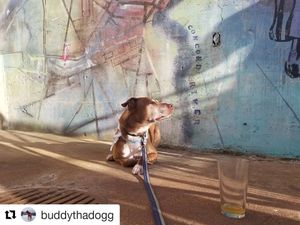 Image post by @westernavearts on Instagram