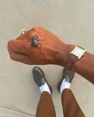Image post by @drip on Instagram