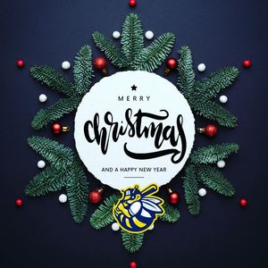 Image post by @burlington_bees on Instagram