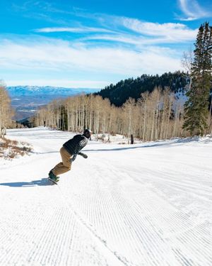 Image post by @theyarrowparkcity on Instagram