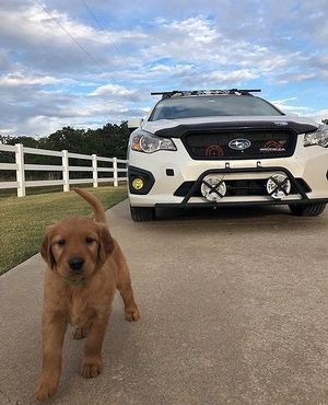 Image post by @schompsubaru on Instagram
