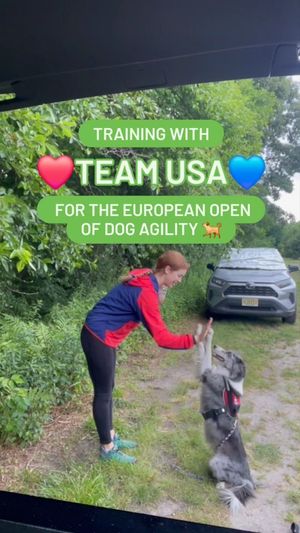 Video post by @YuMOVE.US on Facebook