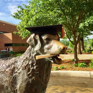 Image post by @umbclife on Instagram