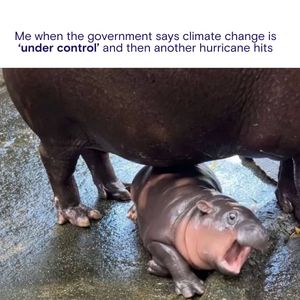 Image post by @fromthebowseat on Instagram
