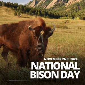 Image post by @cuboulderalumni on Instagram