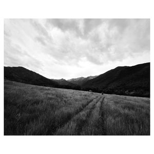 Image post by @prestoncrawley on Instagram