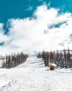 Image post by @bestwestern on Instagram