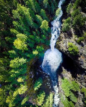 Image post by @nicktroutmankayak on Instagram