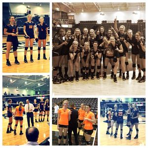 Image post by @beavervball on Instagram