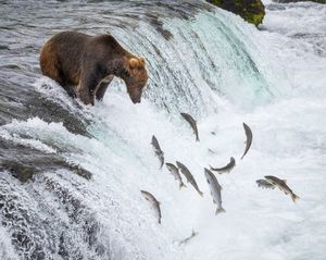 Image post by @nationalparkscollective on Instagram