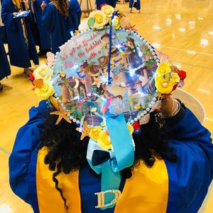 Image post by @hofstrau on Instagram