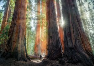 Image post by @nationalparkspartnership on Instagram