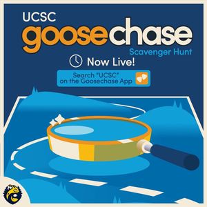 Image post by @ucsc_athrec on Instagram