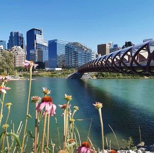 Image post by @cityofcalgary on Instagram