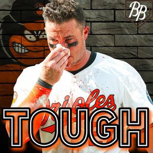 Image post by @birdland_baseball on Instagram