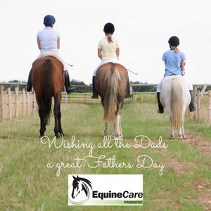 Image post by @equinecareprobiotic on Instagram