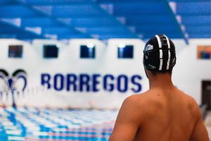Image post by @borregostec on Instagram