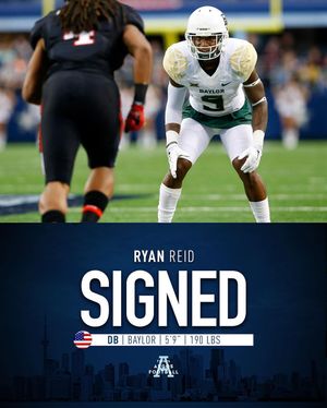 Image post by @torontoargos on Instagram