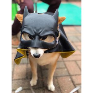 Image post by @yourfuzzy on Instagram