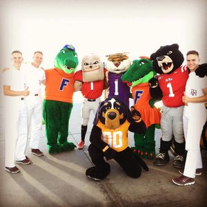 Image post by @lsumiketiger on Instagram