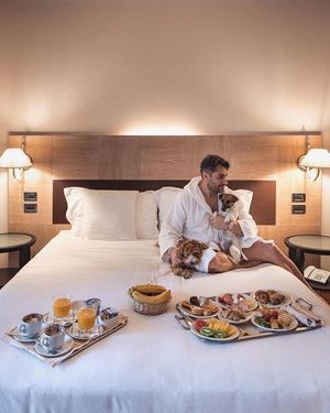 Image post by @bestwestern on Instagram