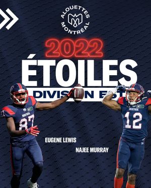 Image post by @mtlalouettes on Instagram