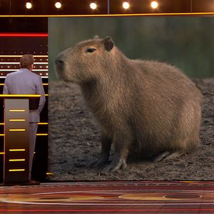 Image post by @ITV on Twitter/X