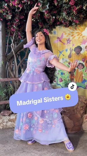 Video post by @disneyparks on TikTok