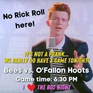 Image post by @burlington_bees on Instagram