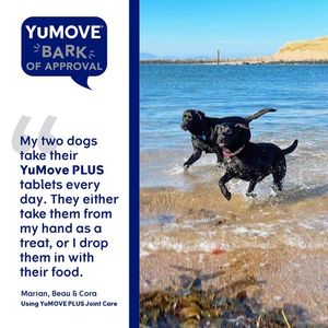 Image post by @YuMOVE.US on Facebook