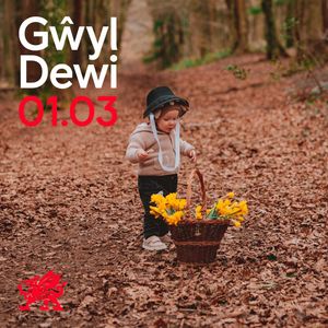 Image post by @welshgovernment on Instagram