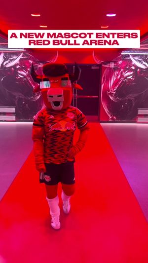 Video post by @redbullnewyork on TikTok