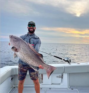 Image post by @freemanboatworks on Instagram