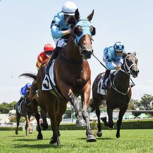 Image post by @australianturfclub on Instagram