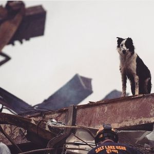 Image post by @ropethemoon on Instagram